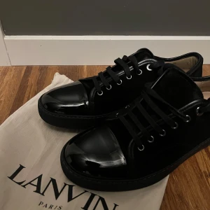 Lanvin skor - Tja! Säljer dessa feta helvsvarta Lanvin i storleken 7 ungefär 41-42. Innermåttet är runt 28cm. Skicket på dessa är mycket bra (9/10), dustbag medföljer.