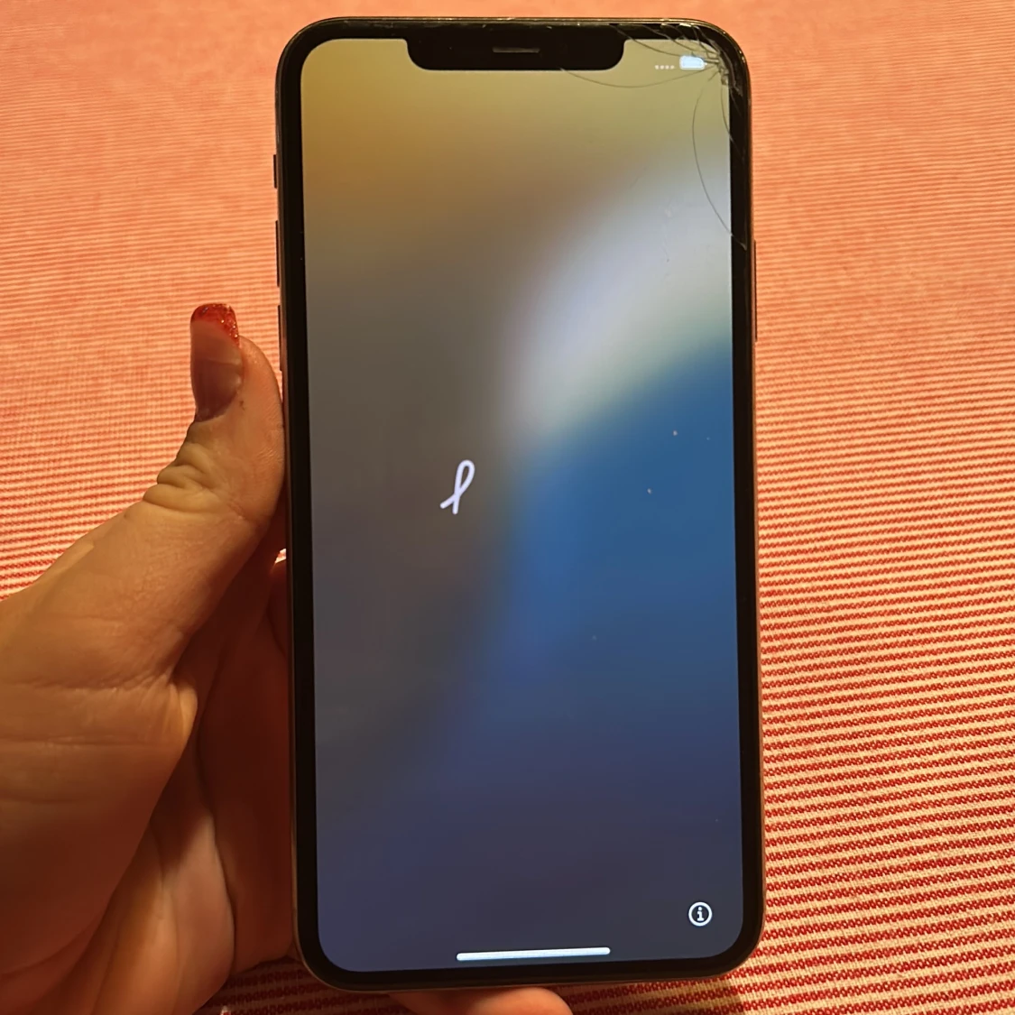 iPhone 11 PRO MAX 256gb - 93