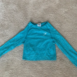 Turkos långärmad tröja från Gymshark - Säljer en snygg turkos långärmad tröja från Gymshark. Perfekt för träning med sin bekväma passform och stilrena design. Tröjan har en liten logga på bröstet och ryggen. Passar perfekt för dig som vill ha något både funktionellt och trendigt.