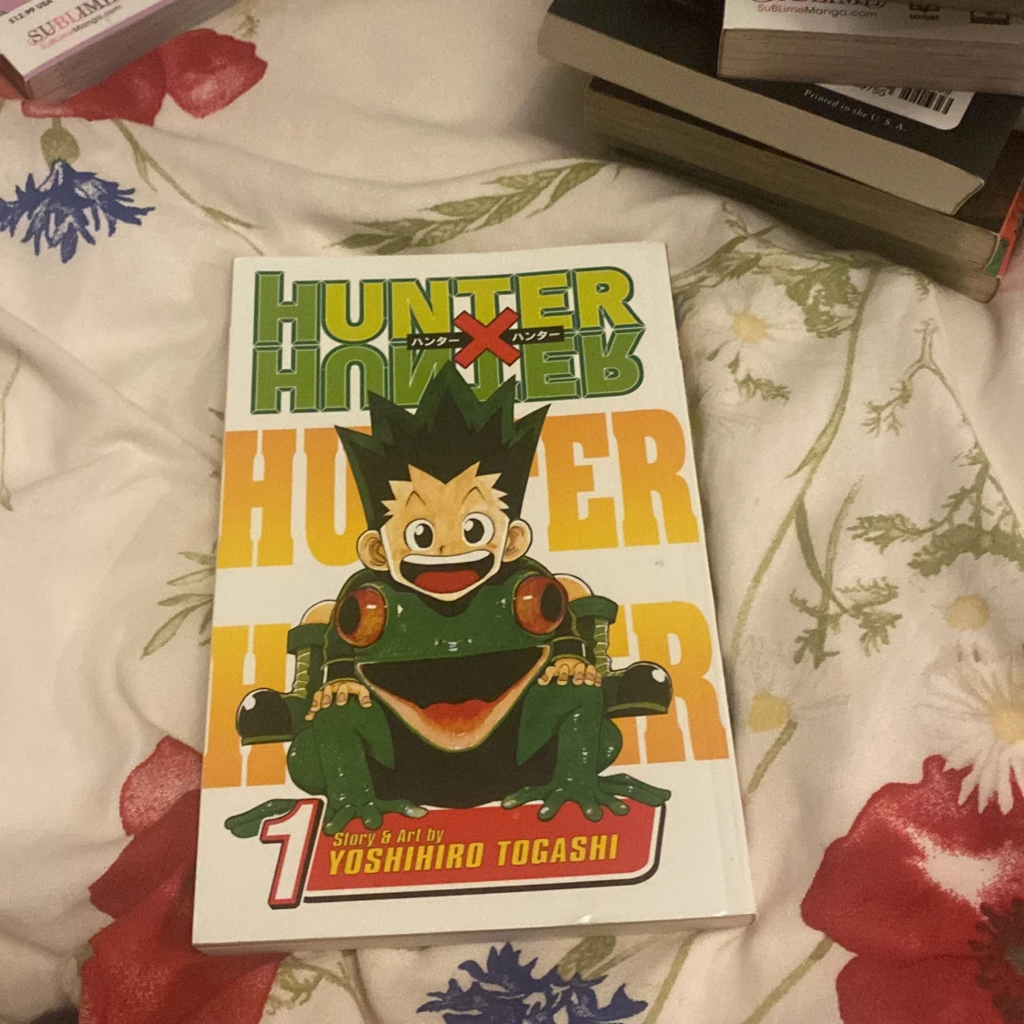 hunter x hunter/hxh - 92