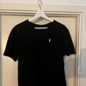 Ralph Lauren T-shirt  - En fräsch Raffe tisha som är i nyskick, den är i storlek M och skitsnygg!