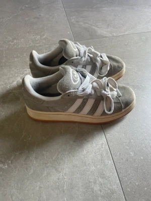 Adidas campus 00 grey  - Så fina och trendiga! Nästan oanvända o säljer pågrund av att de ej kommer till användning!