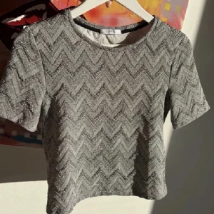 Glitter topp - Glitter topp från Zara i missoni liknande mönster, lånade bilder från tjejen jag köpte toppen av!