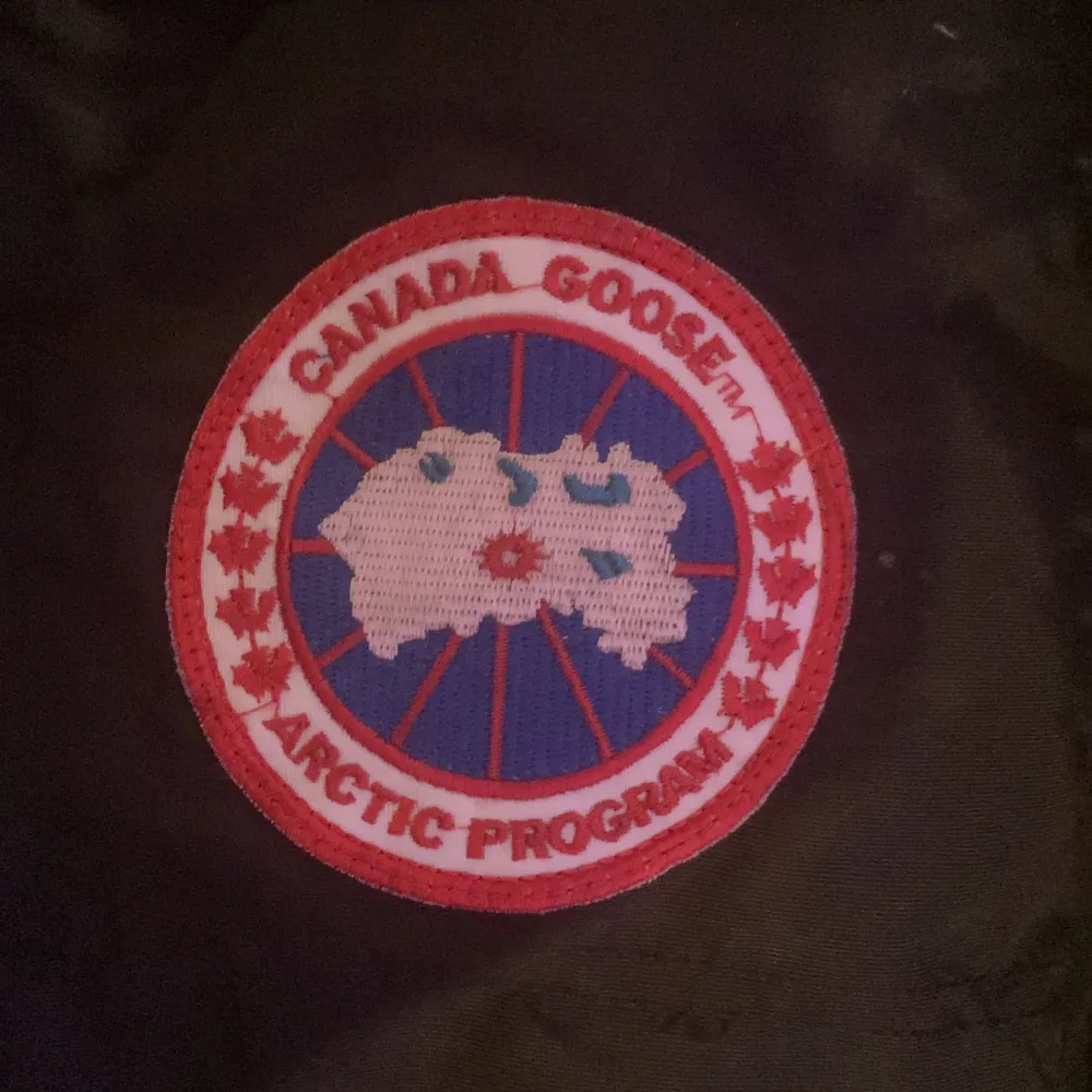 Säljer en svart Canada Goose dunjacka med pälsdetaljer på huvan. Jackan är perfekt för kalla vinterdagar och har en broderad logga på bröstet. Den är i bra skick och har en dragkedja framtill. Supervarm och stilren för vintern! ❄️. Jackor.