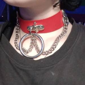 Choker halsband - Köpt från bluefox! Bra skick aldrig använt (förutom i bilden) 