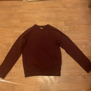 Brun sweatshirt - Säljer en stilren brun sweatshirt med rund hals och långa ärmar. Perfekt för en avslappnad look. Tröjan har ribbade muddar vid ärmslut och nederkant.