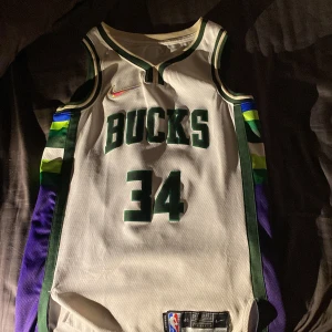 Bucks basket tröja Nike  - Använd kanske 5 gånger bra skick, pris kan diskuteras. Nummer 34 Giannis Antetokounmpo