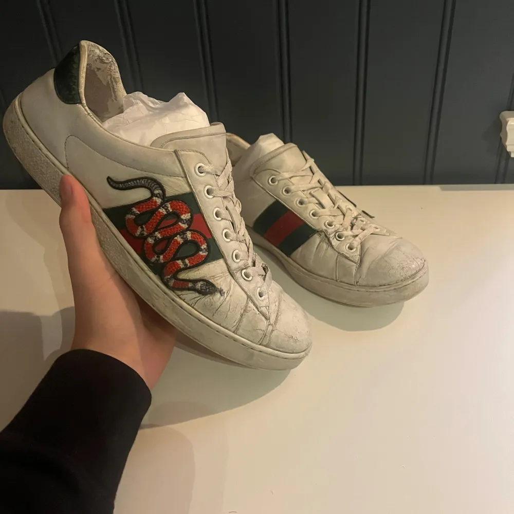 Sjukt fräna Gucci ace snake. Dom är i storlek 43 (uk 8.5) ganska använda men mycket kvar att ge, riktigt nice att ha som beaters. Skor.