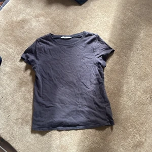 Grå t shirt  - Rätt använd