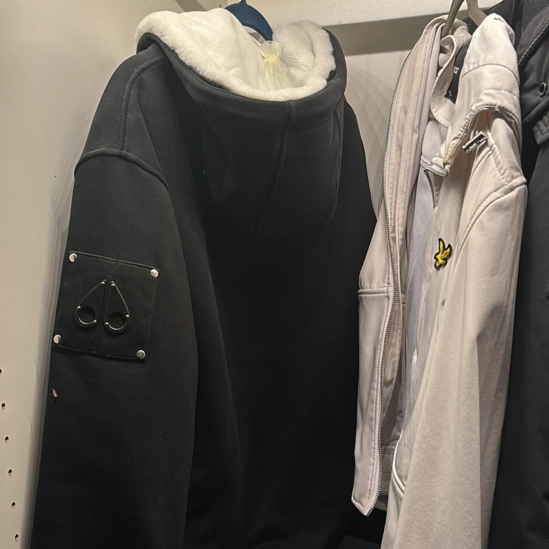 Moseknuckels bunnie - 90