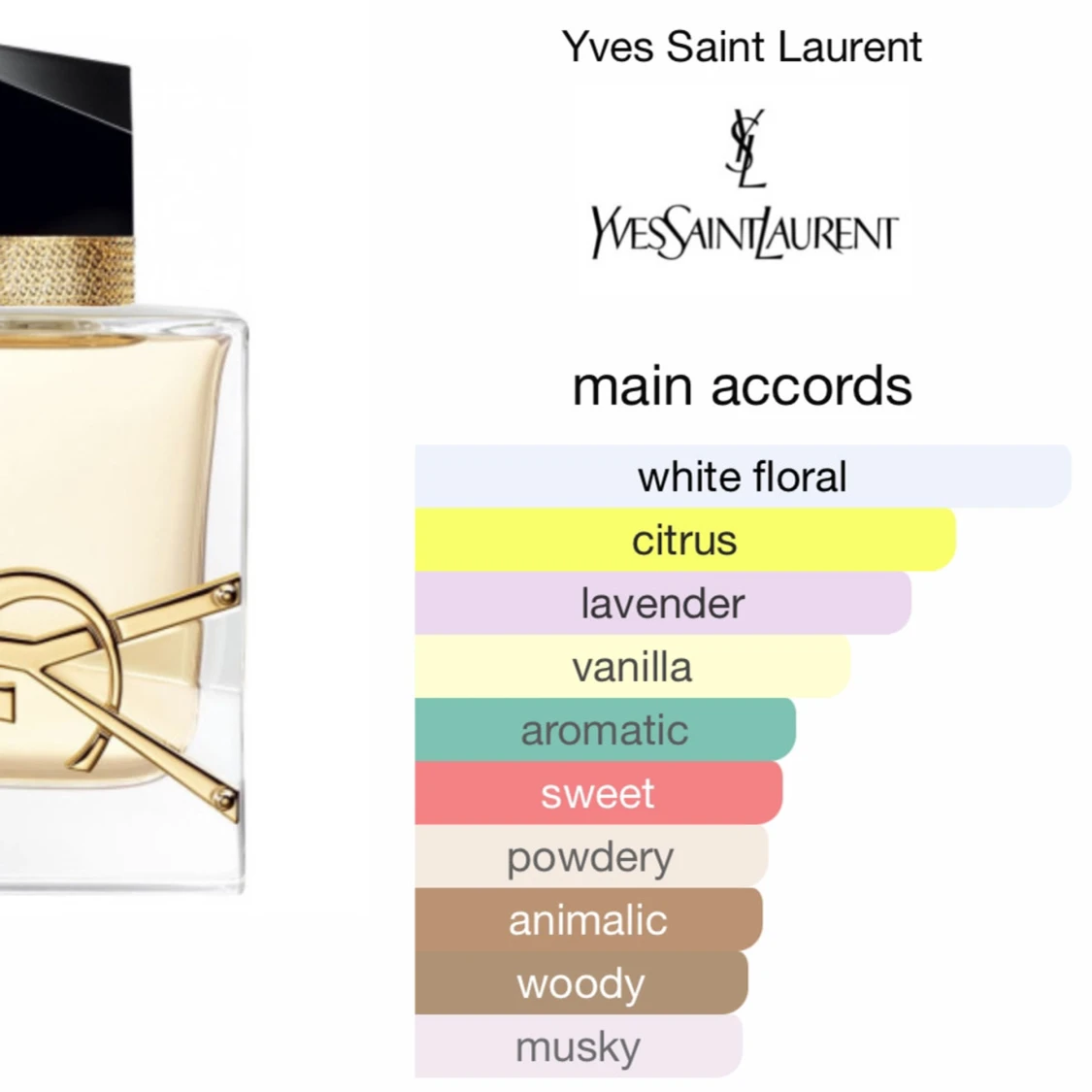 Yves Saint Laurent  - 92