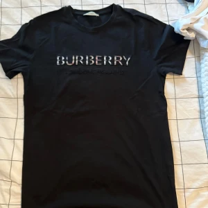 Burberry T-shirt - En äkta burberry t-shirt som va köpt för 3 månader sen. Jag köpte det ifrån en vän som hade fått det i present så tröjan är nästan ny