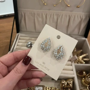 Örhängen från Lily and Rose - Perfekt present 💙