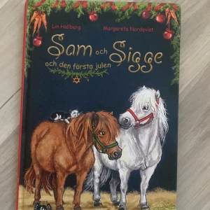 Bok  - Bra barnbok som är lättläst, inte trasig någonstans 