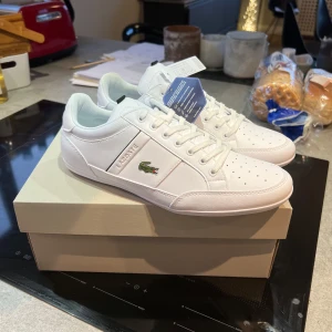 Lacoste skor - Ett par oanvända lacoste skor! Skriv för fler bilder! Pris kan diskuteras vid snabb affär! 