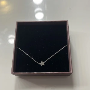 Silverhalsband med stjärna från Edblad - Kom aldrig till användning för jag har två styckna!
