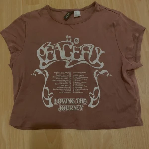 Brun kortärmad t-shirt med tryck från H&M - Säljer en brun kortärmad t-shirt från H&M med ett stort vitt tryck på framsidan som säger 'Be Peaceful' och 'Loving the Journey'. T-shirten har en avslappnad passform och är perfekt för en bekväm stil.