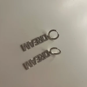 Silvriga örhängen med text - Snygga silvriga örhängen med texten 'DREAM' i glittriga bokstäver. Perfekta för att ge en extra touch till din outfit. De har en rund form vid fästet och hänger ner i en rak linje.