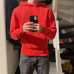 Helmut Lang hoodie - Använd men utan defekter och materialet är i gott skick limiterad säljs för gör liten nypris ca 3000kr