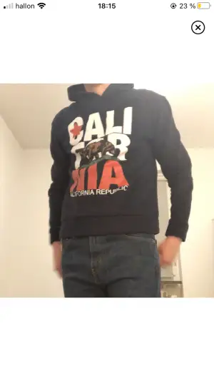 California republic hoodie storlek S 