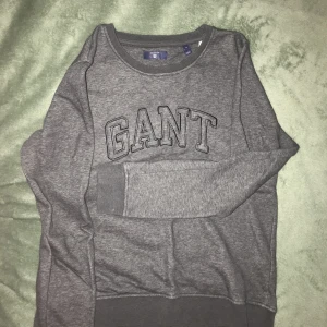 Gant collegetröja  - Gant collegetröja 