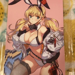 Anime vykort nytt Usada Mimi - Nytt vykort på Usada Mimi, inplastat, helt nytt! Tar endast emot swish, skriv priv för nummret. Kan skicka i kuvert så frakt blir billigare.