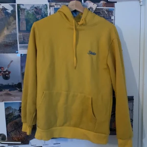 Hoodie  - Gammal hoodie som jag inte använder längre i storlek s-m har en liten skada vid vänster sida som knappt syns 