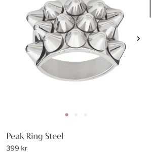 Edblad ring silver  - En Edblad ring som jag köptes i somras i utmärkt skick. Jag säljer denna ring pga att jag vill ha denna i guld istället. Jag byter mer än gärna denna ring mot en i guld i strl 16,5-17,5.