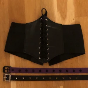 Nithalsband / bälte  - Nithalsband som kan justeras i olika storlekar och även ett bälte i form av en korset som lätt sätts på bed kardborreband på baksidan. 90kr/st för både bältet och nithalsbanden. 200kr för allt tsm <3