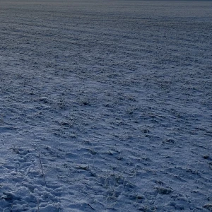 Svart tröja med print - Svart långärmad med print. Köpt på Carlings. Str. M. Passform S-M. Swish. Kan mötas upp i Lund