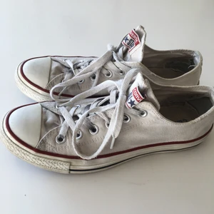 Converse vita  - Låga converse strl 39