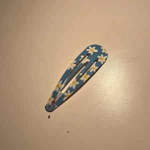 Hårspännen sten - Hår spännen och en jätte fin Sten 