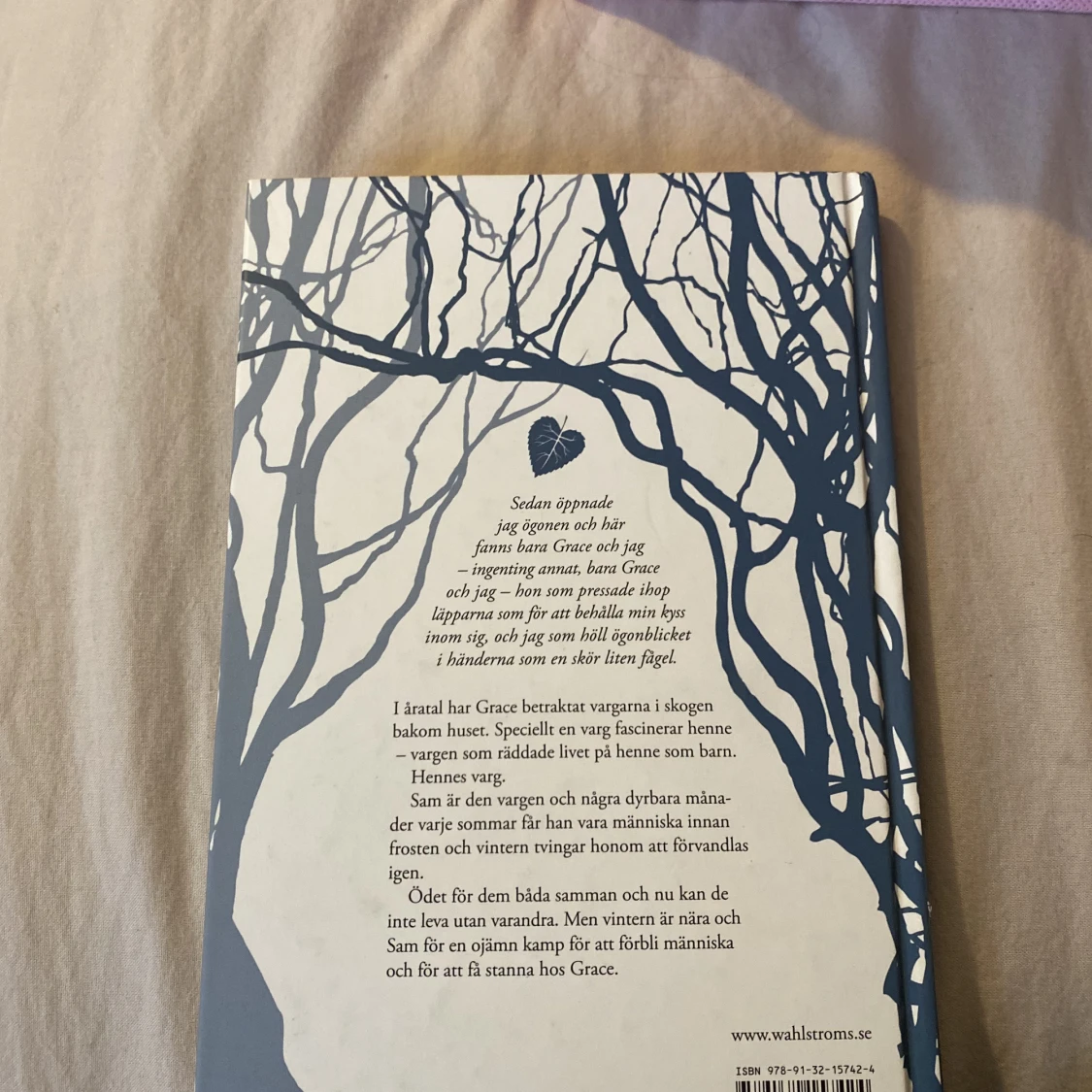 Frost - Maggie stiefvater  - 90