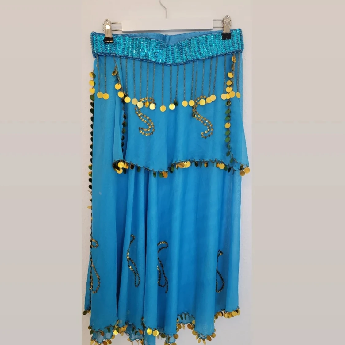 Belly dance skirt 
