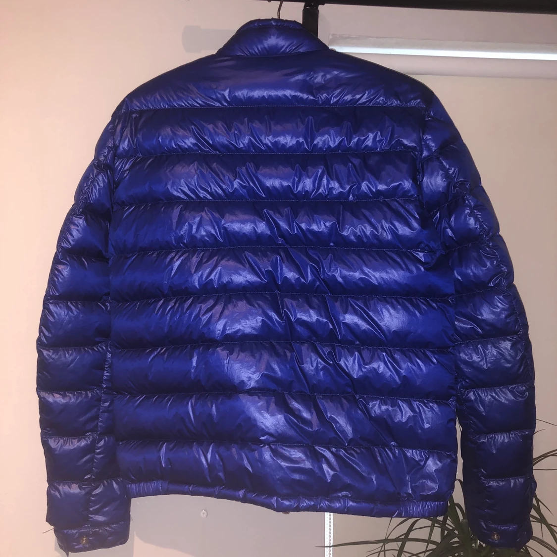 Moncler acorus royal Blue - 91