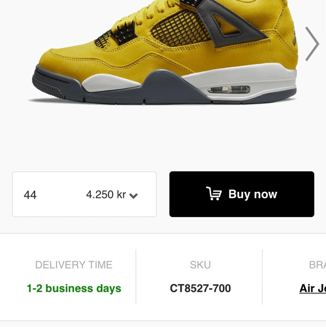 Jordan 4 Lightnigns storlek 44 - 90