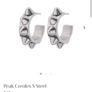 Edblad örhänge  - Säljer endast 1 örhänge då ett örhänge är borttappat. 150kr + frakt