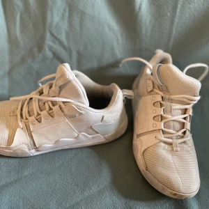 Jordan zero gravity  - Jordan zero gravity white. Köptes för 5 månader ( storlek 39)