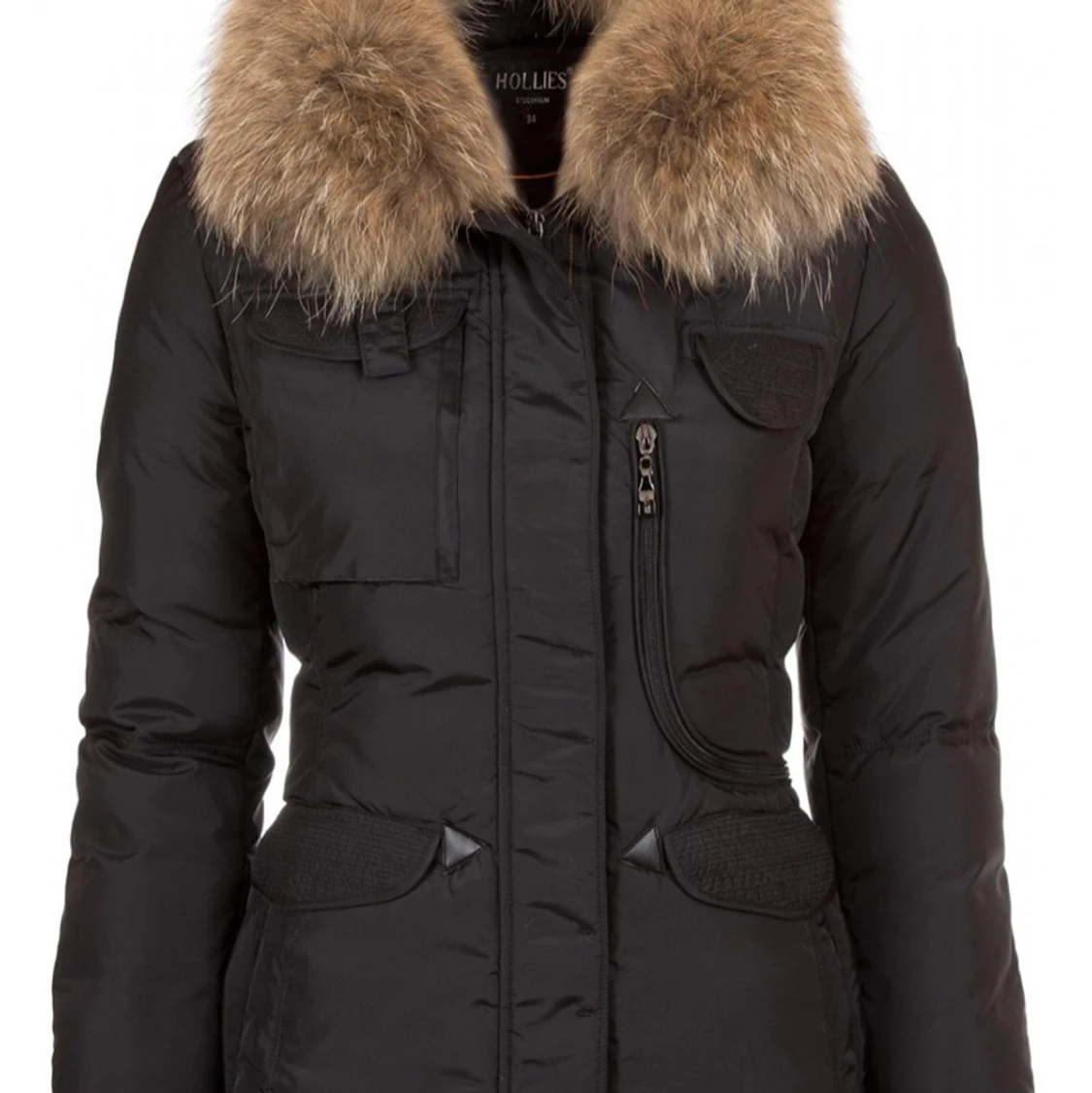 Vinterjacka (hollies)