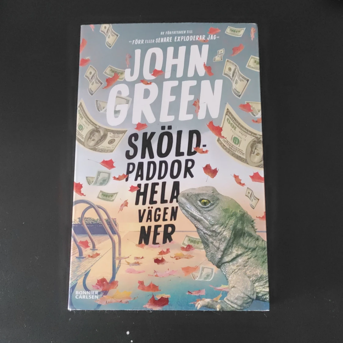 John Green "Sköldpaddor hela vägen ned"
