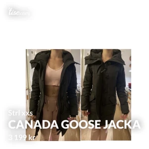 Canada goose jacka - Svart canada goose jacka för bara 2500:- i  xxs Skador finns vid båda ärmmuddarna samt ett litet hål under ena armhålan  Kan behöva tvättas!