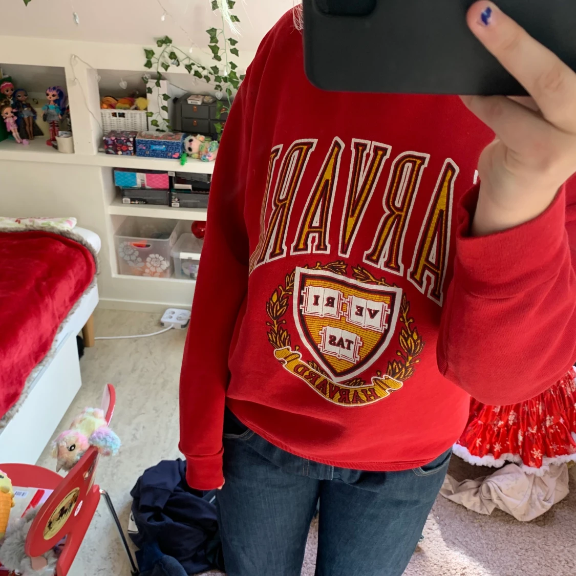 Harvard hoddie