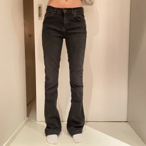 LBT Jeans - ❗️Slutsålda på överallt ❗️ ❣️ LBT lowaist bootcut jeans i storleken 26/34 i nyskick. Använda Max 4 gånger. Köpta för 984kr för lite mer en ett år sen på Zalando. Tjejen på bilden är 172 och har vanligtvis 25/26 i Jeans. 