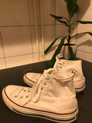 Vita Converse - Jag har ett par vita Converse i storlek 40 dom passar 39 och 40 för dom är små i storleken säljer pga jag inte använder dom. Dom är rena och tvättade dom har lite gula fläckar men ingen man märker när man har på säg dom.💗