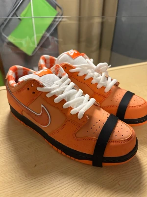 NIKE SB Dunk Lobster  - Storlek 9,5  Deadstock , Kvitto följer med