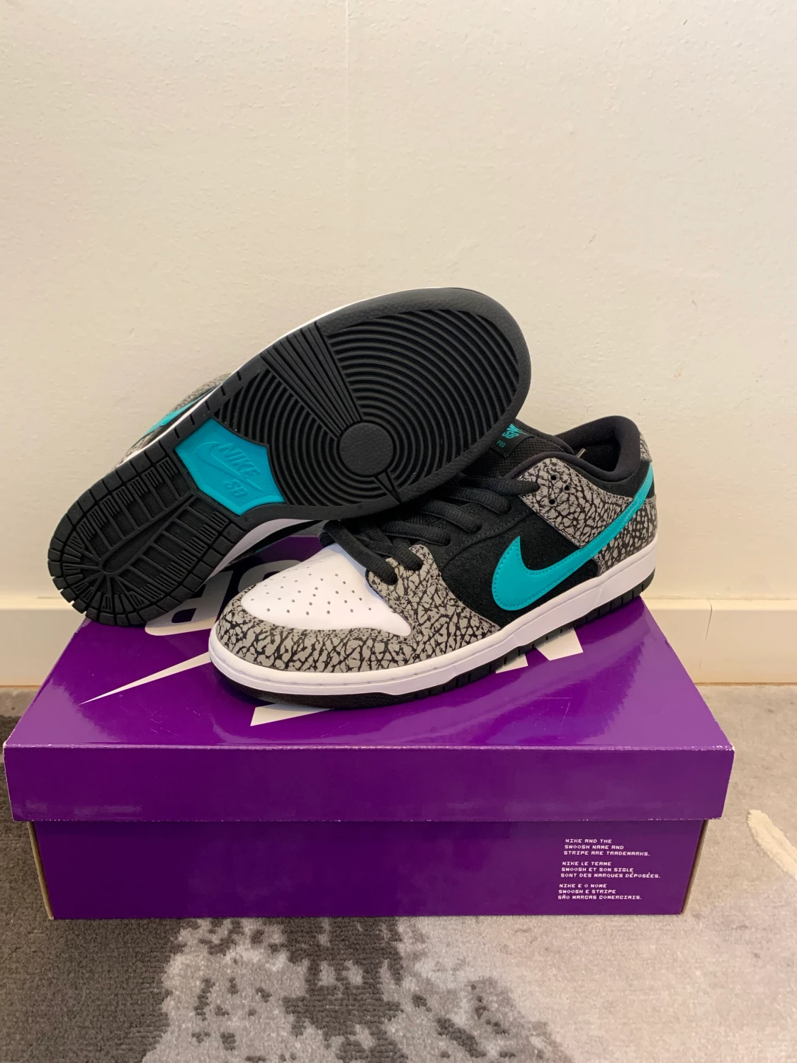 SB DUNK LOW ”ATMOS ELEPHANT”