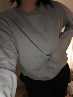 Champion Sweatshirt - champion crewneck skick 7/10