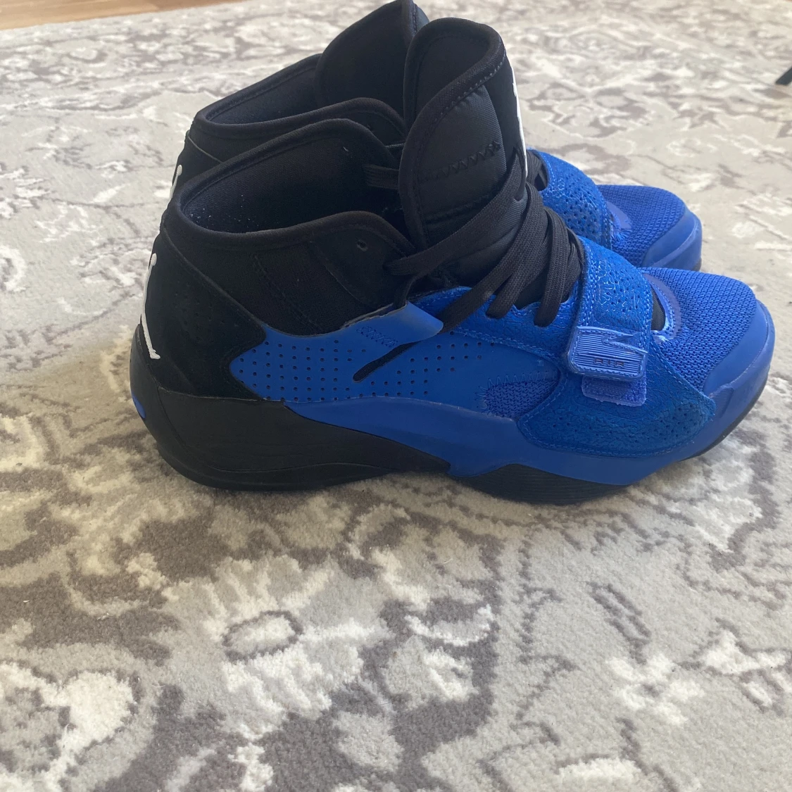 Zion willimason basket skor