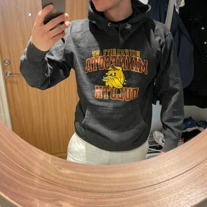 Minnesota college hoodie - Använt skick/vintage men inga hål eller flaws   Uppfräschad och redo för leverans  Modellen är 186cm och normalbyggd