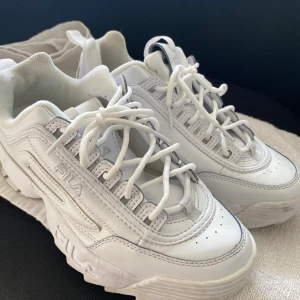 Fila Disruptor II: svart / vit - Använt max 8 ggr. Originalpris: 650 kr, men säljer för bra pris. Hämtas upp i Stockholm. 